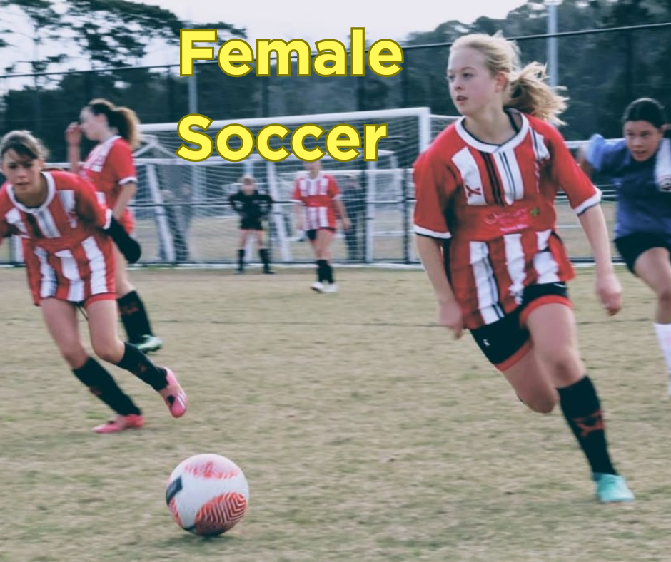 Mount Eliza Soccer Club based on the Mornington Peninsula 