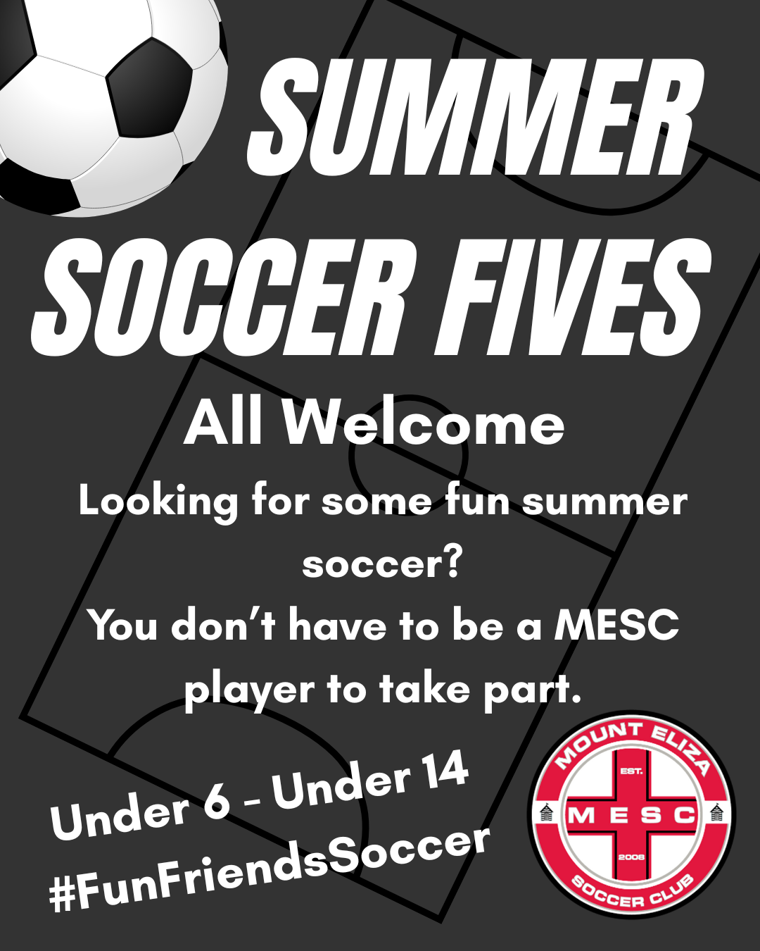 Summer Soccer Fives
