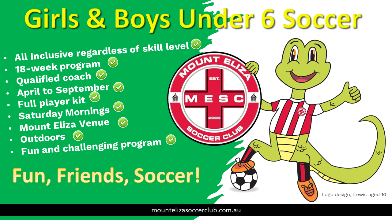 Girls & Boys  Under 6 Soccer!