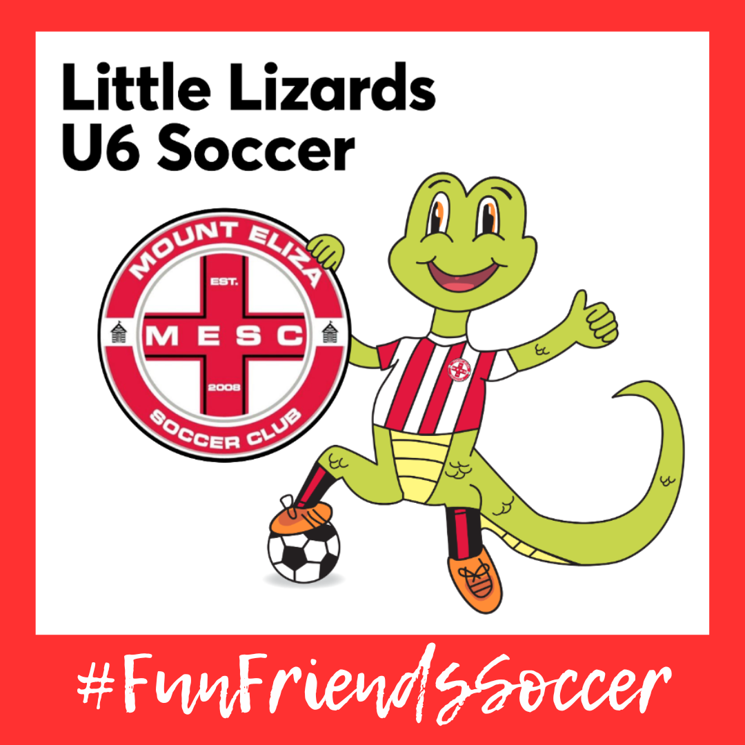 Under 6 Soccer